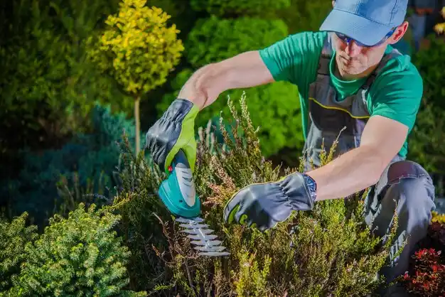 landscaping services Grass Lake